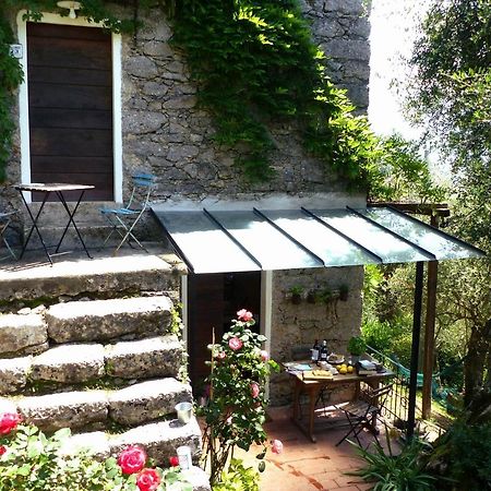 Villa Il Giaggiolo à Camaiore Extérieur photo