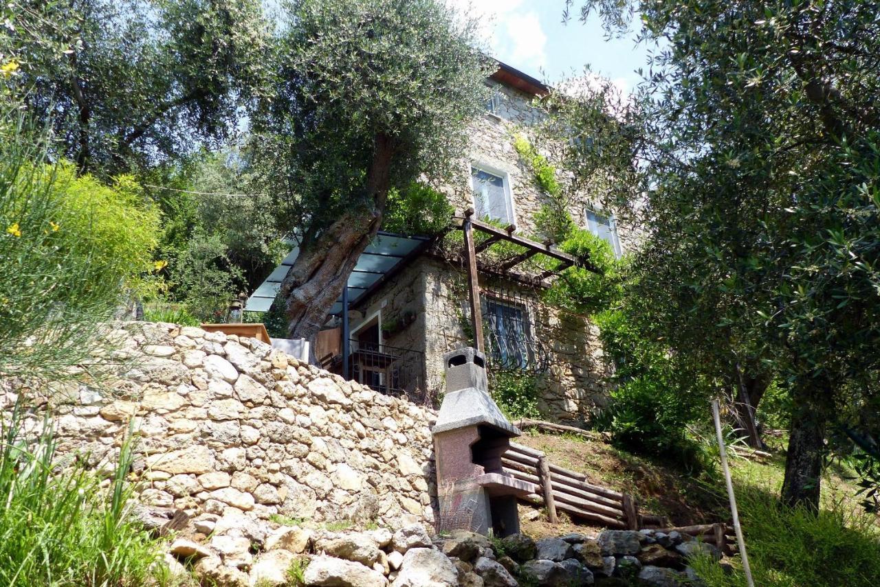Villa Il Giaggiolo à Camaiore Extérieur photo