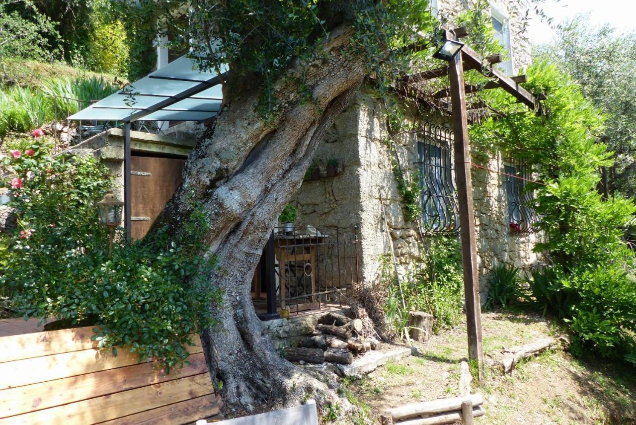 Villa Il Giaggiolo à Camaiore Extérieur photo