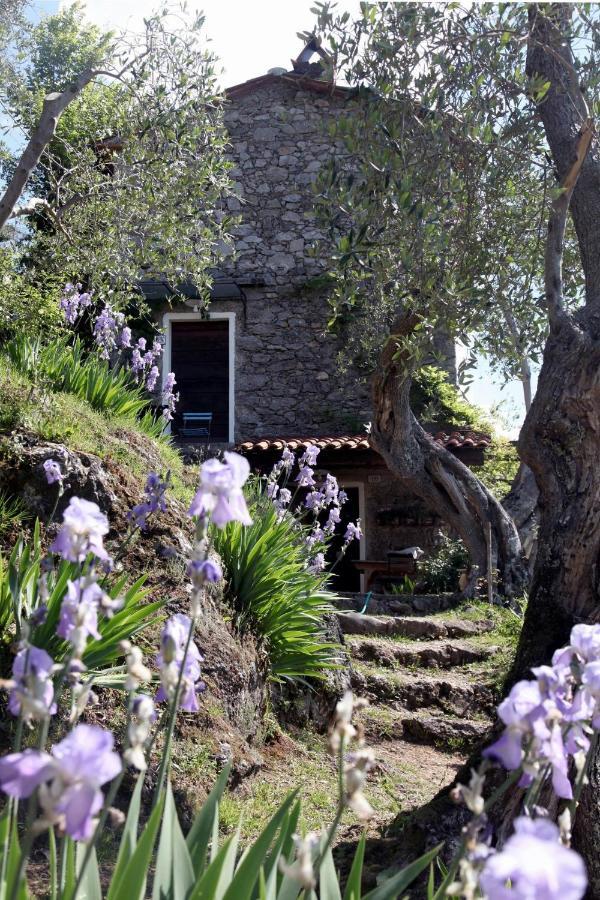 Villa Il Giaggiolo à Camaiore Extérieur photo