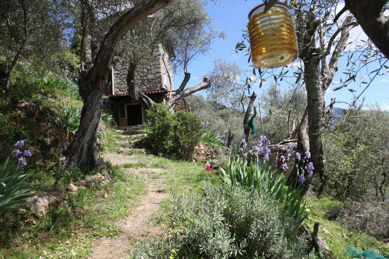 Villa Il Giaggiolo à Camaiore Extérieur photo