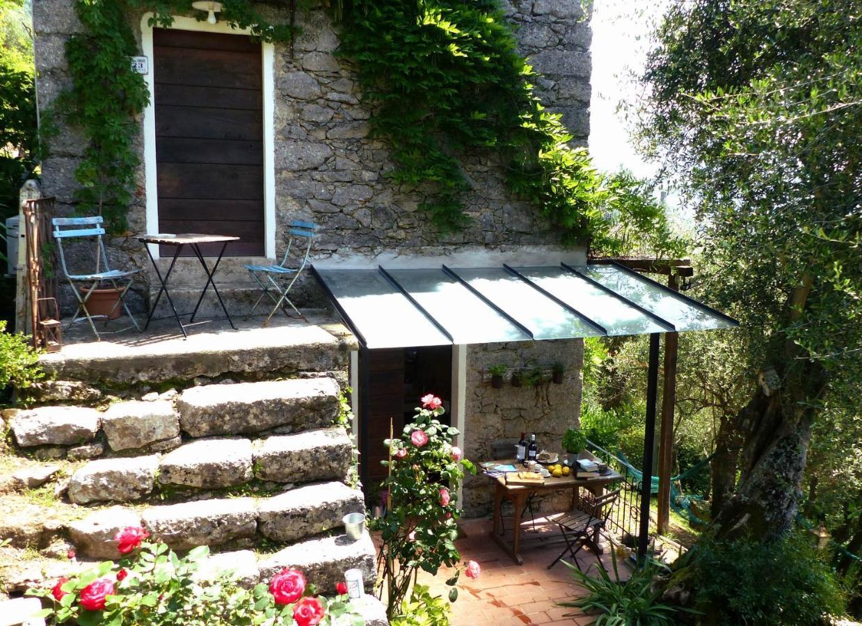 Villa Il Giaggiolo à Camaiore Extérieur photo