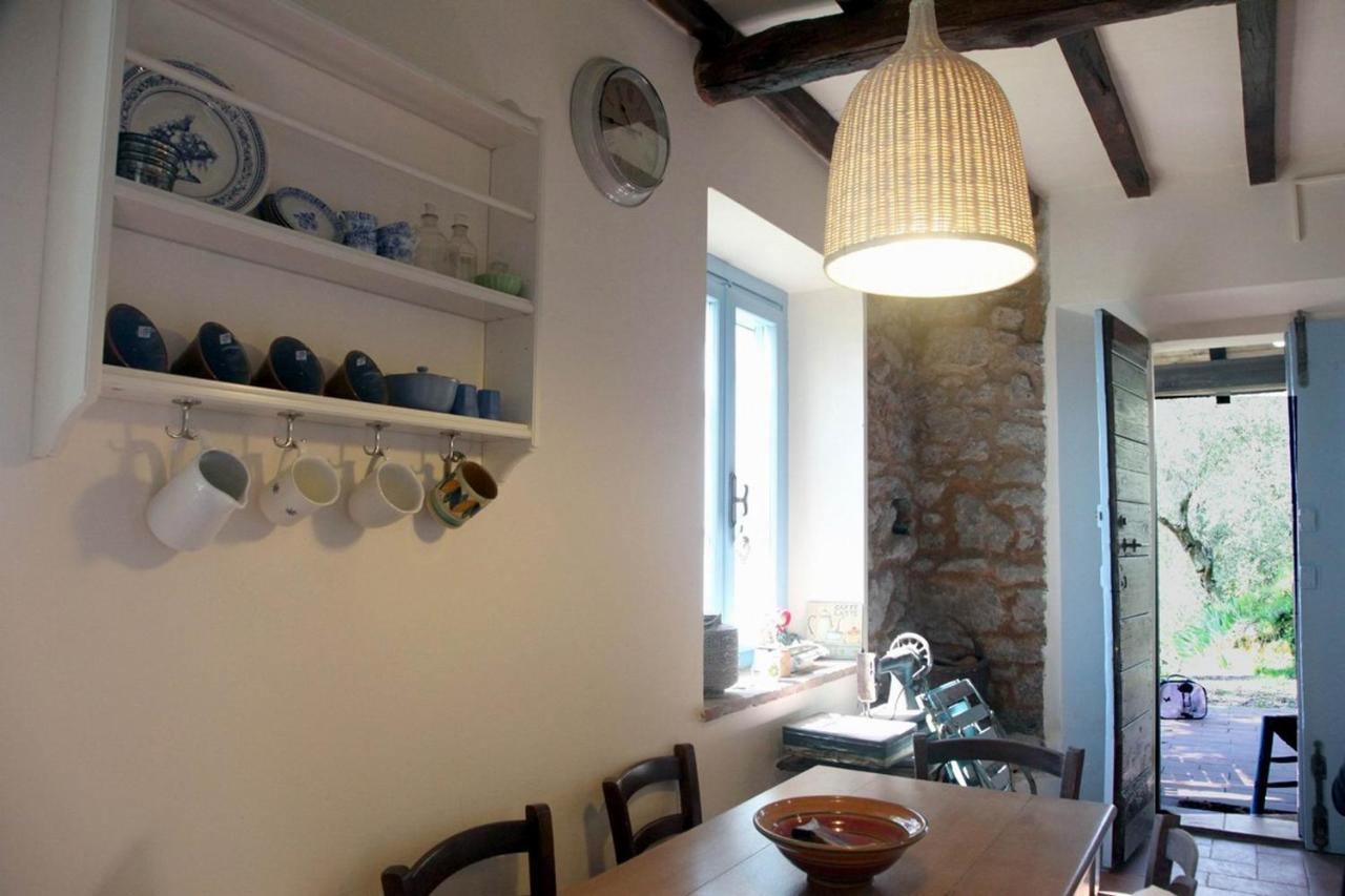 Villa Il Giaggiolo à Camaiore Extérieur photo