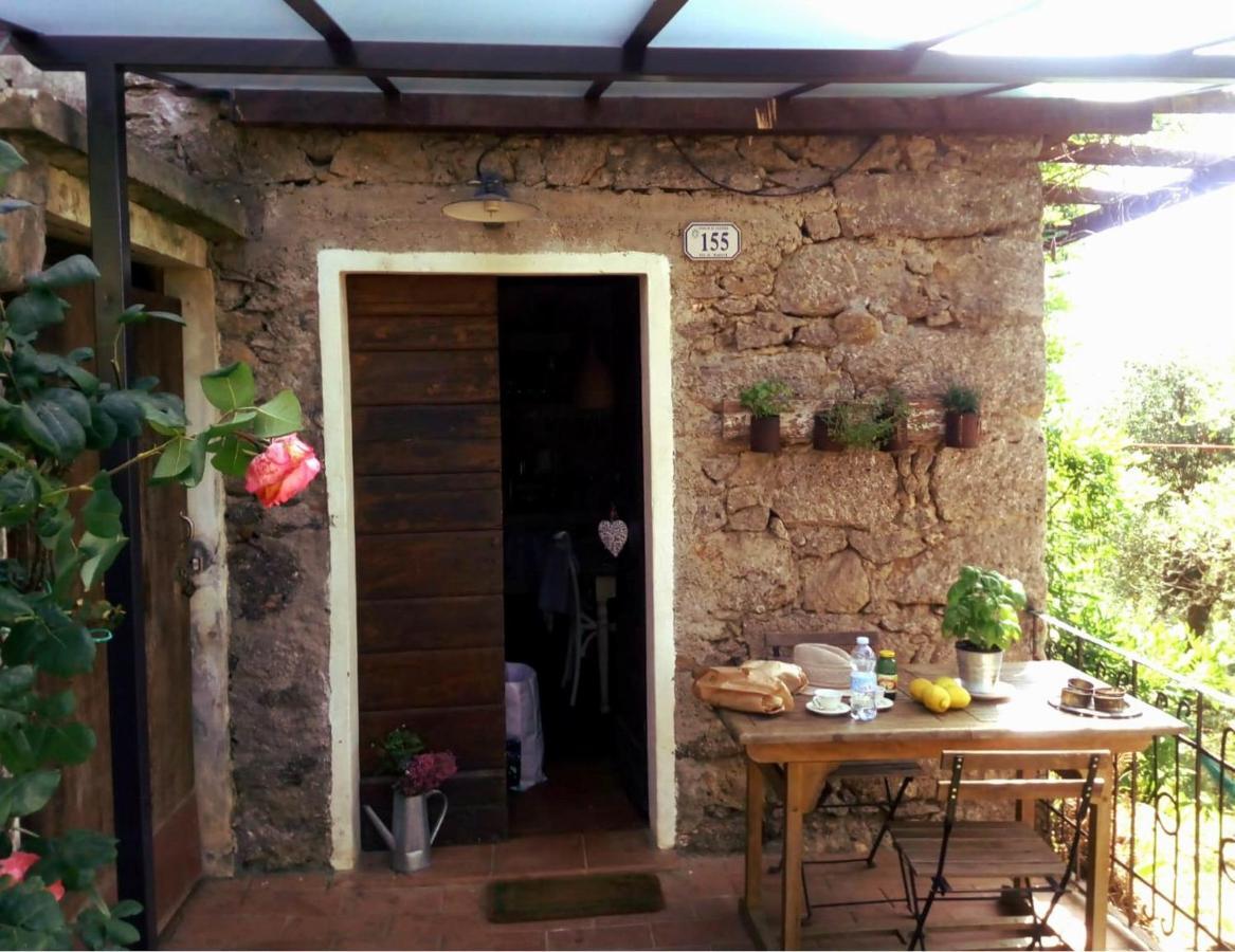 Villa Il Giaggiolo à Camaiore Extérieur photo